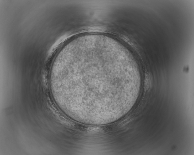 X0000116011454200912101330