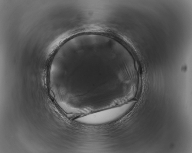 X0000116011455200912101330