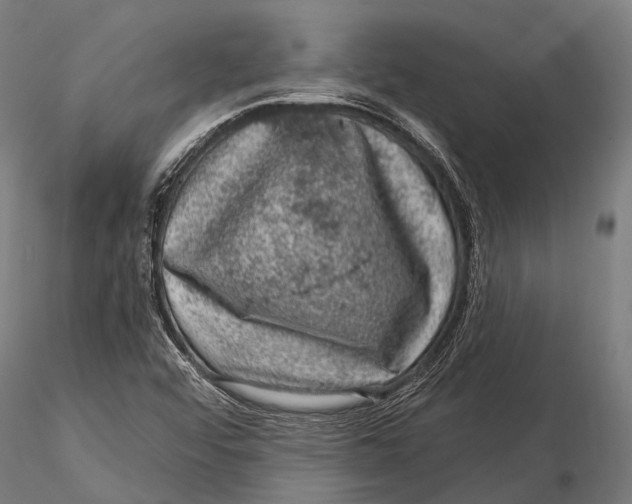 X0000116011456200912101330