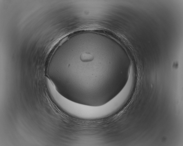 X0000116011457200912101330