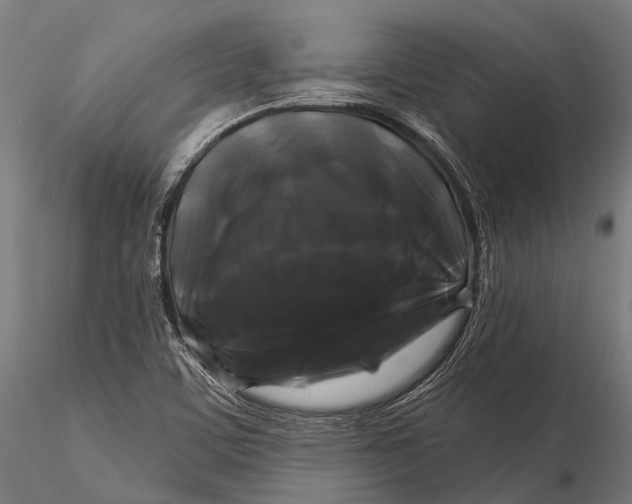 X0000116011459200912101330