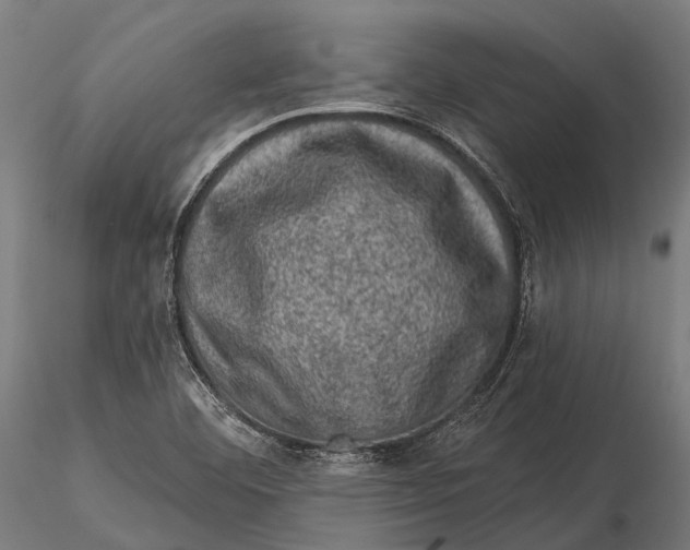 X0000116011460200912101330