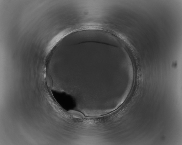 X0000116011461200912101330