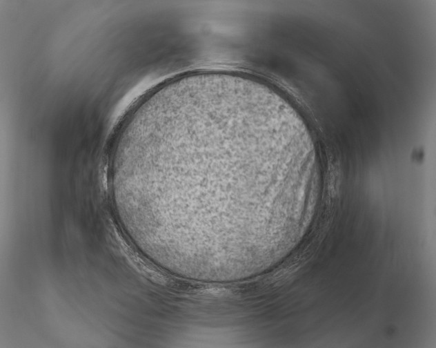 X0000116011462200912101330