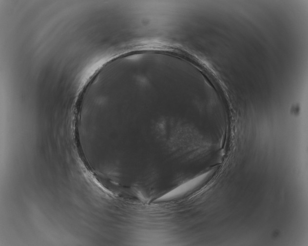 X0000116011463200912101330