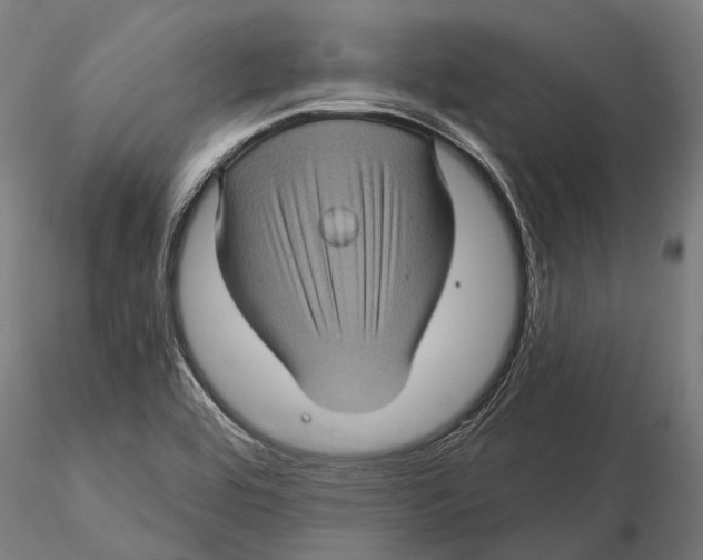 X0000116011464200912101330