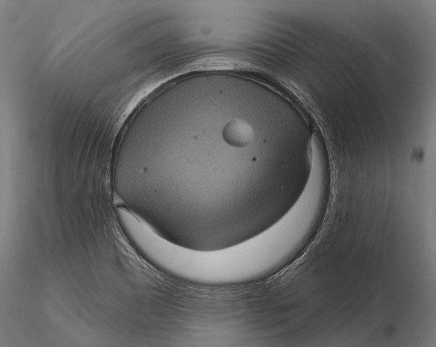 X0000116011465200912101330