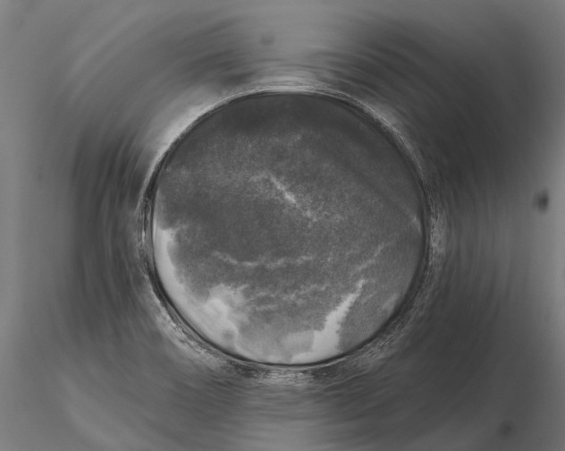 X0000116011466200912101330