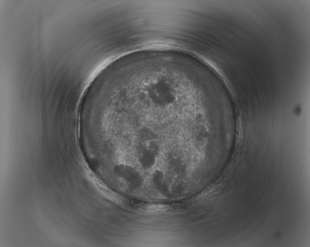 X0000116011467200912101330