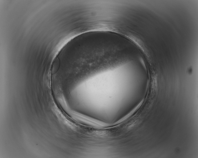 X0000116011468200912101330