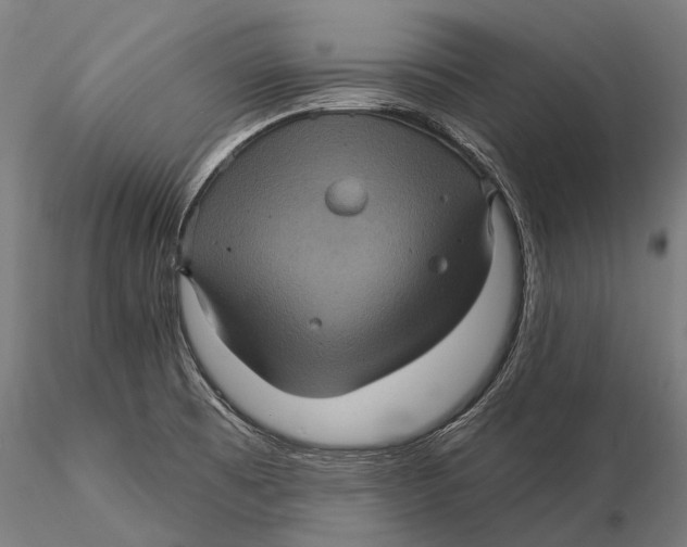 X0000116011473200912101330