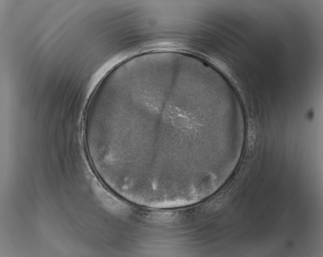 X0000116011474200912101330