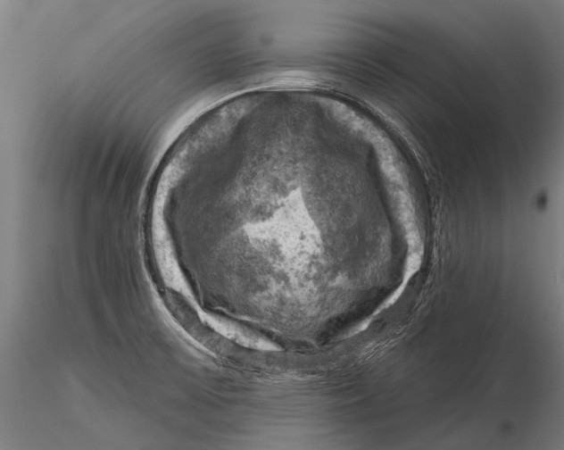 X0000116011475200912101330