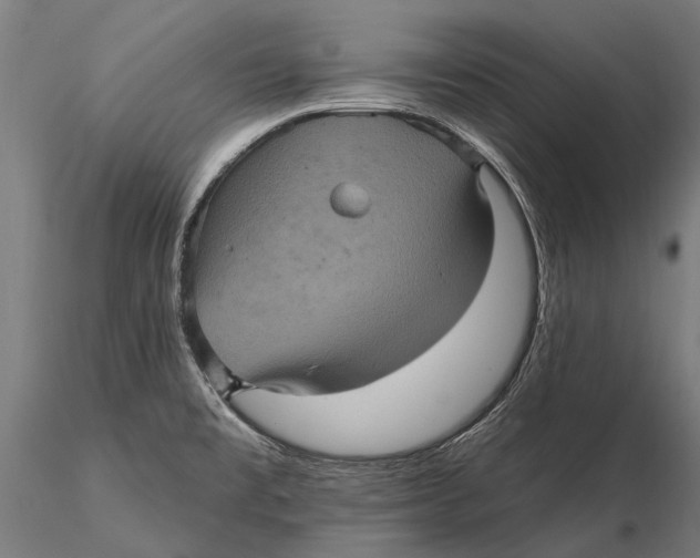 X0000116011477200912101329