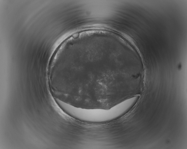 X0000116011482200912101329