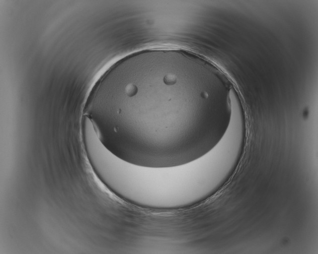 X0000116011484200912101329