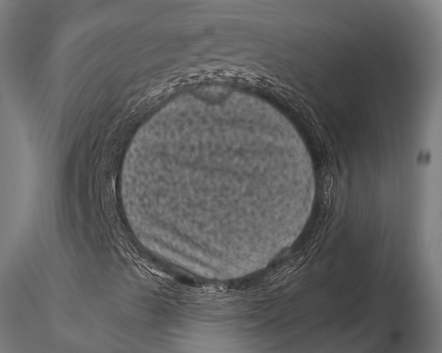 X0000116011489200912101329