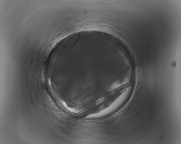 X0000116011497200912101329