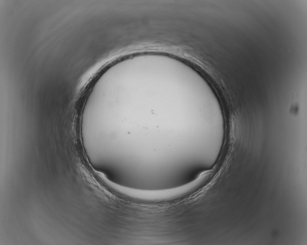 X0000116011502200912101329