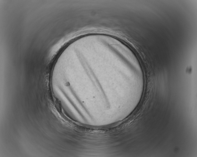 X0000116011503200912101329