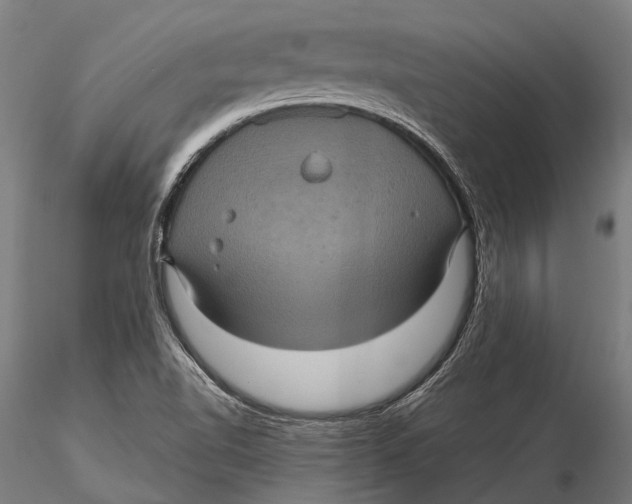 X0000116011510200912101329