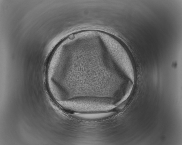 X0000116011511200912101329