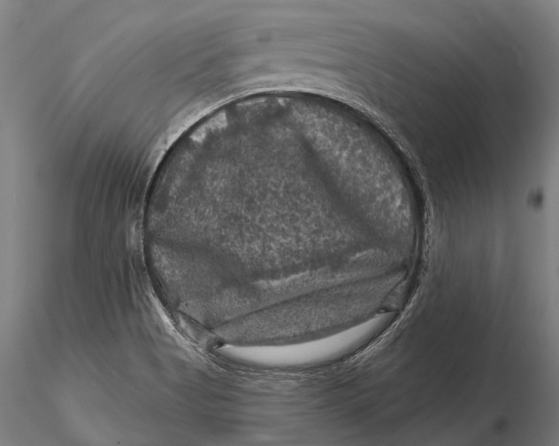 X0000116011513200912101329