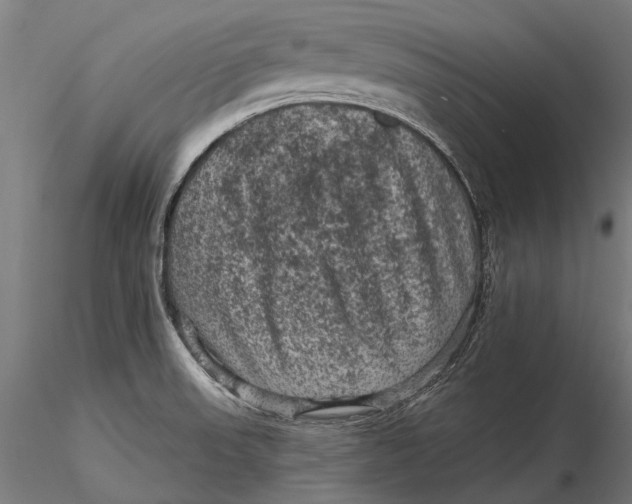 X0000116011523200912101329