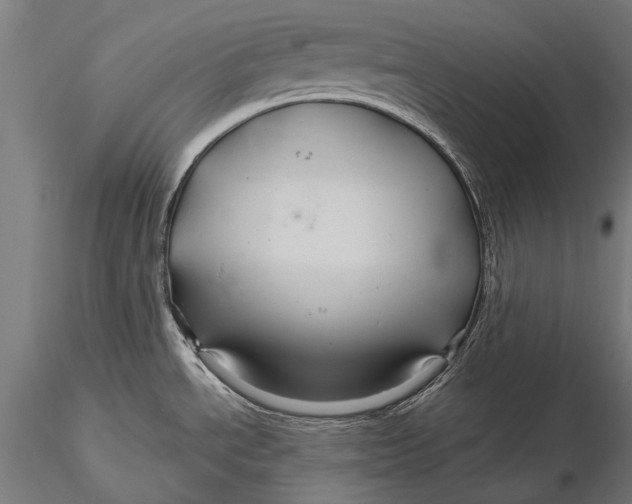 X0000116011534200912101329