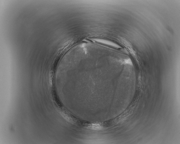 X0000116010114200912171019