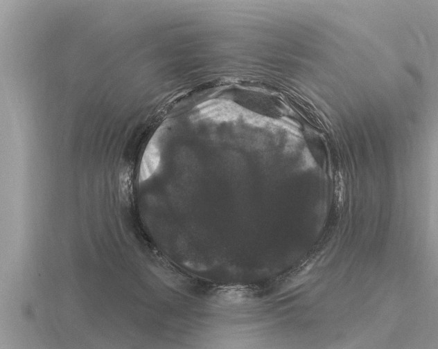 X0000116010127200912171019