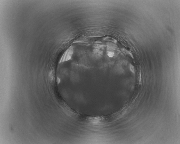 X0000116010131200912171019