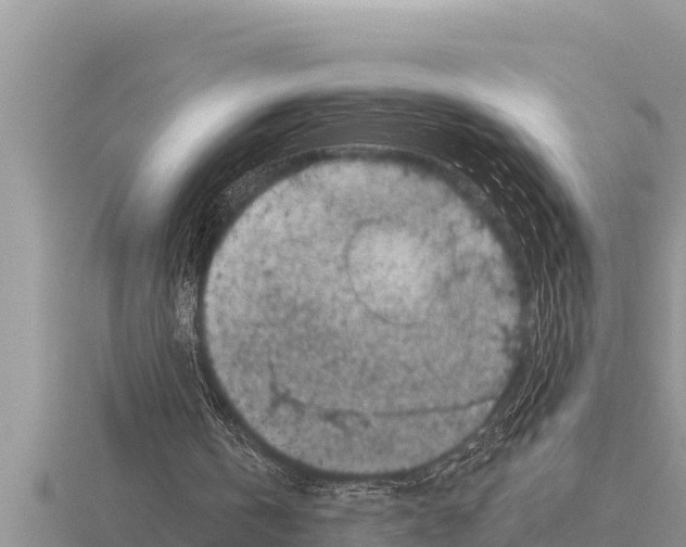 X0000116010146200912171018