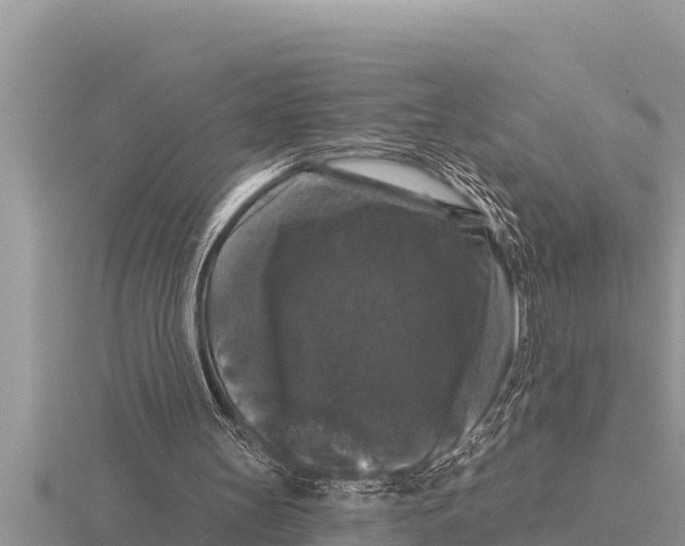 X0000116010147200912171018
