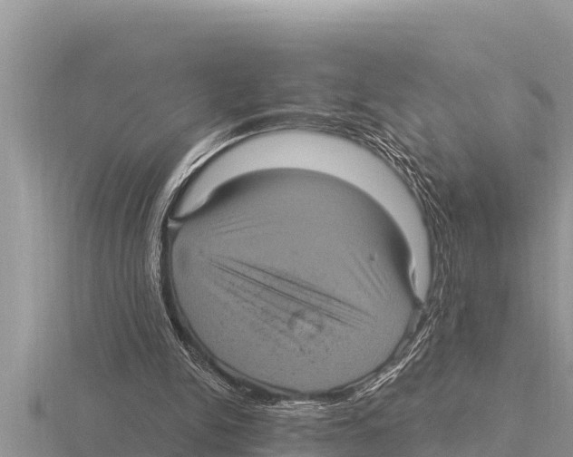X0000116010150200912171018