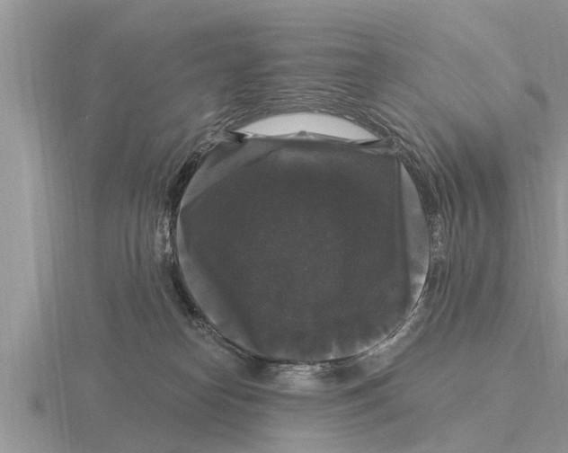 X0000116010182200912171019
