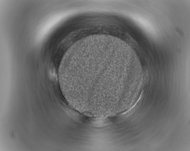 X0000116010191200912171019