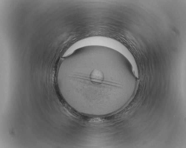 X0000116010231200912171018