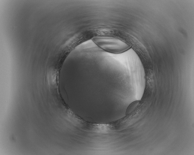 X0000116010233200912171018