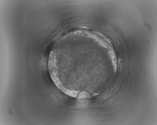 X0000116010234200912171018
