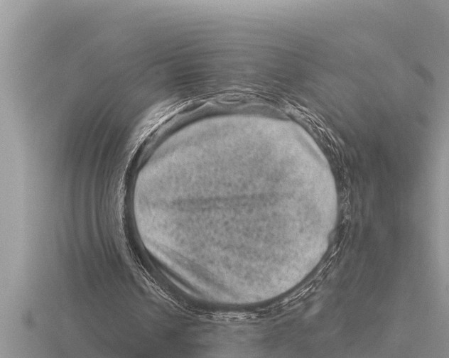 X0000116010242200912171017