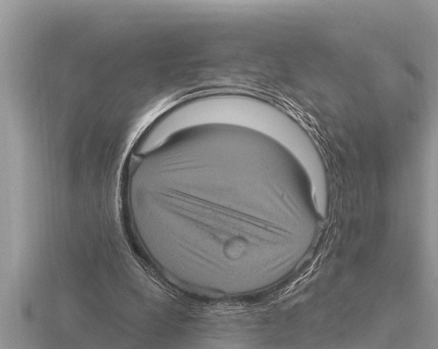 X0000116010248200912171017