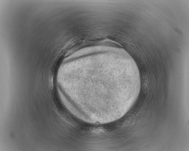 X0000116010262200912171017
