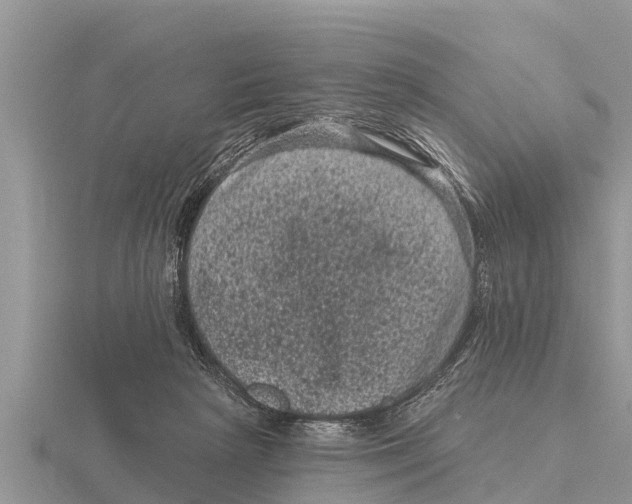 X0000116010265200912171017