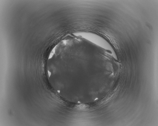 X0000116010269200912171017