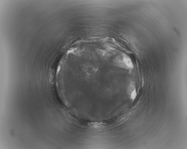 X0000116010273200912171017