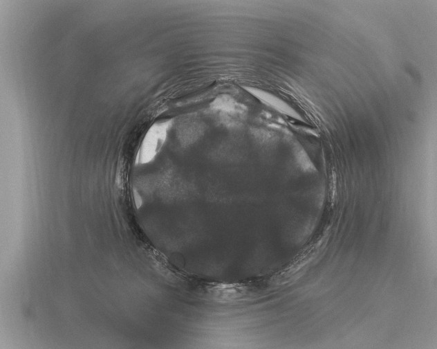 X0000116010277200912171017