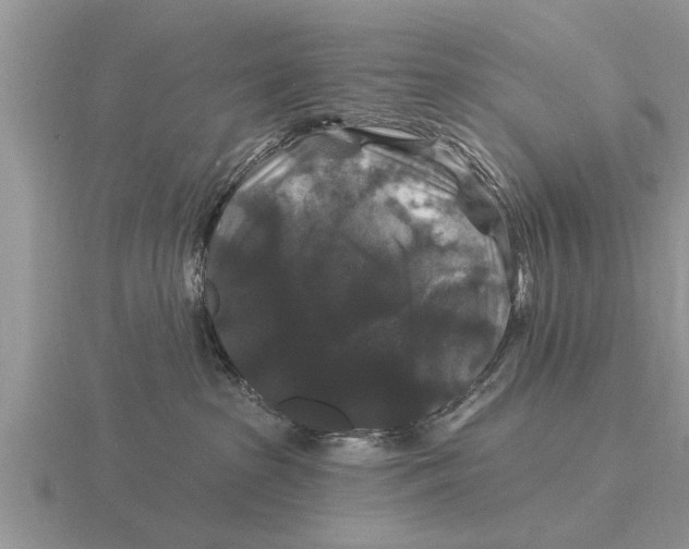 X0000116010285200912171018