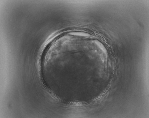 X0000116010295200912171017
