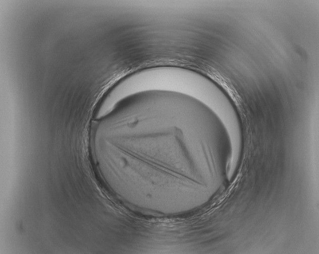 X0000116010297200912171017